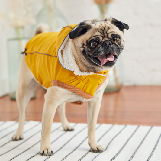 Insulated Dog Raincoat - Yellow | GF Pet