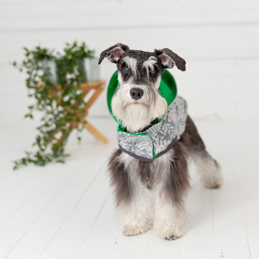 Reversible Elasto-Fit Dog Raincoat - Green | GF Pet