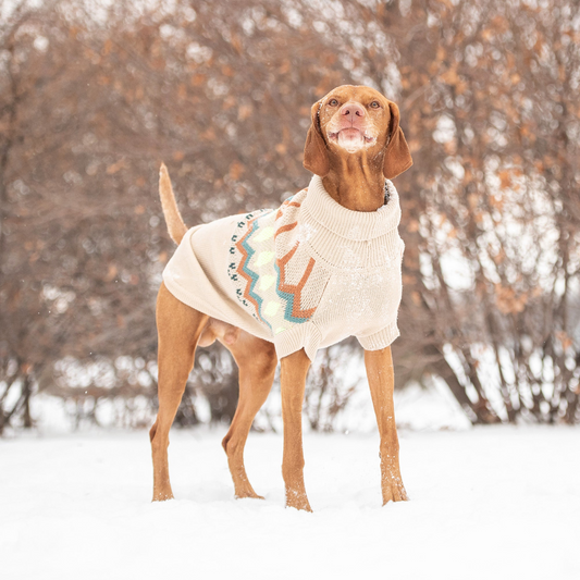 Heritage Dog Sweater - Elegant Sand | GF Pet