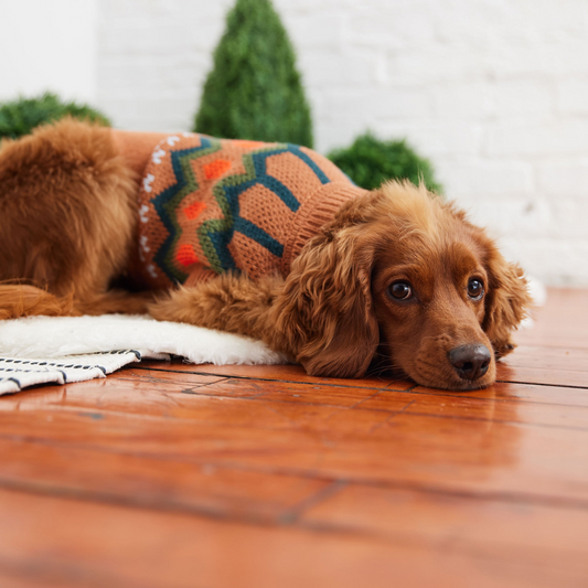 Heritage Dog Sweater - Hazel | GF Pet