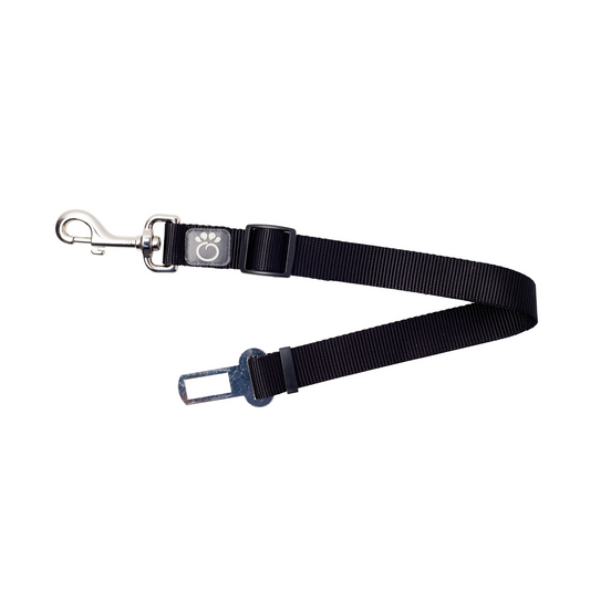 Pet Seat Belt Tether | GF PET