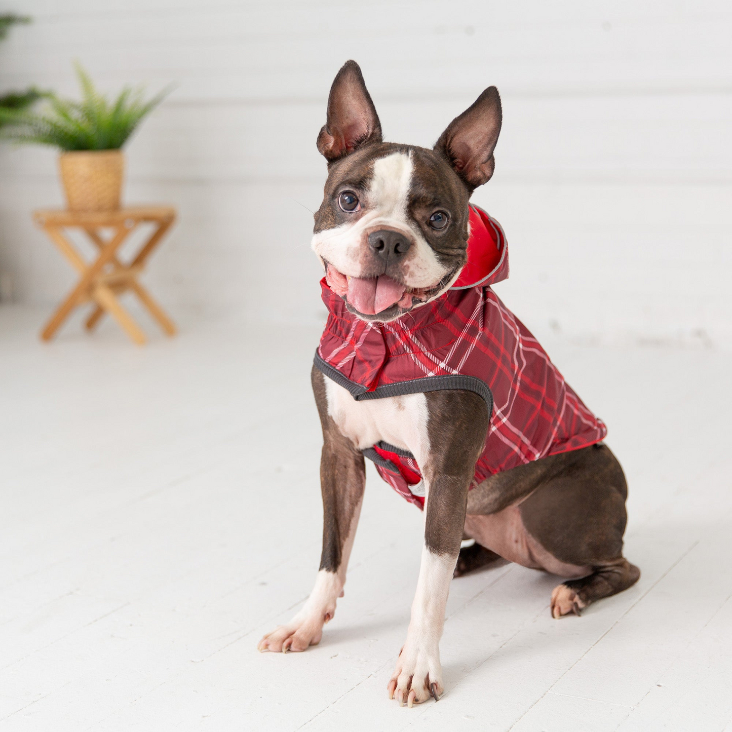Chubasquero reversible GF Pet Elasto-Fit - Rojo