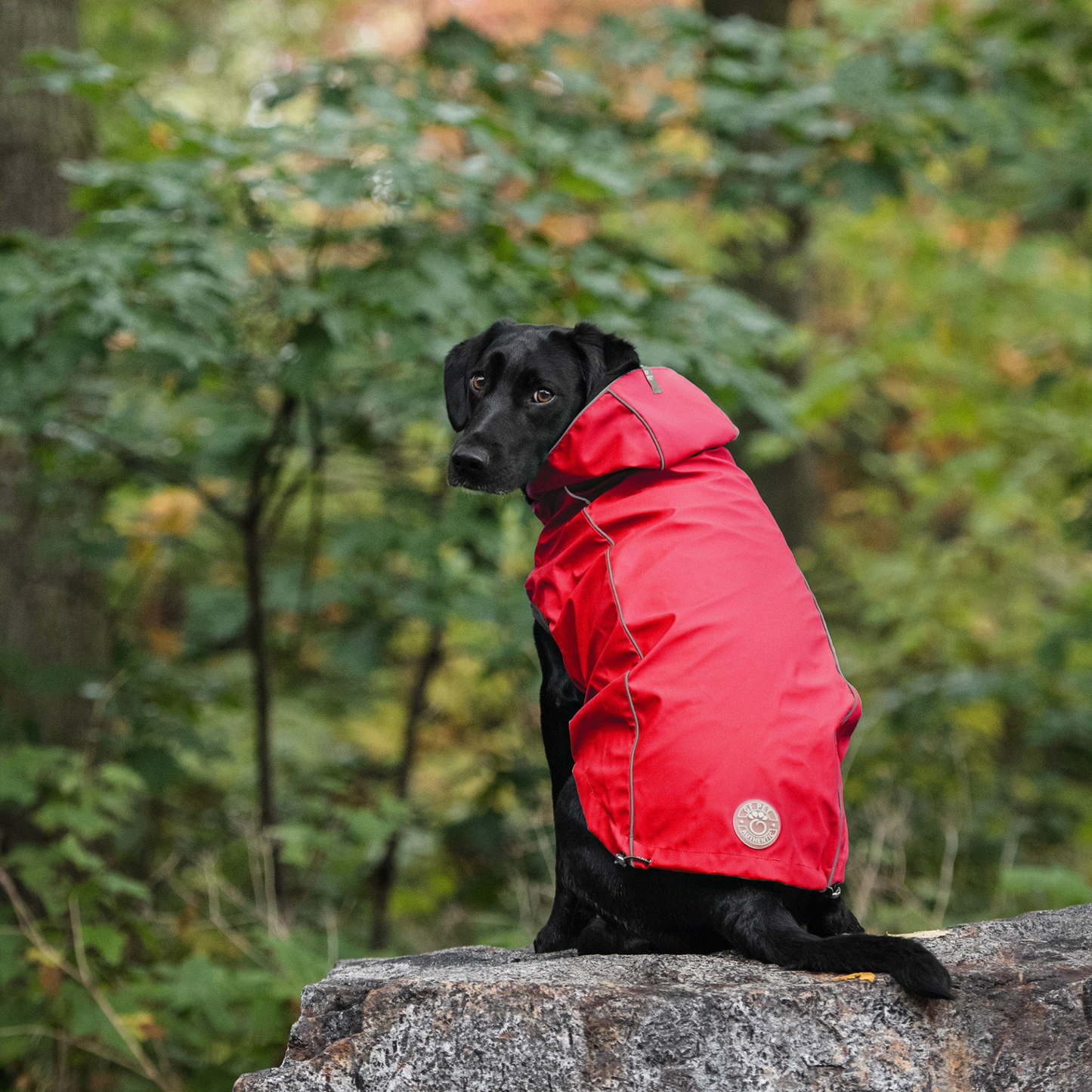Chubasquero reversible GF Pet Elasto-Fit - Rojo