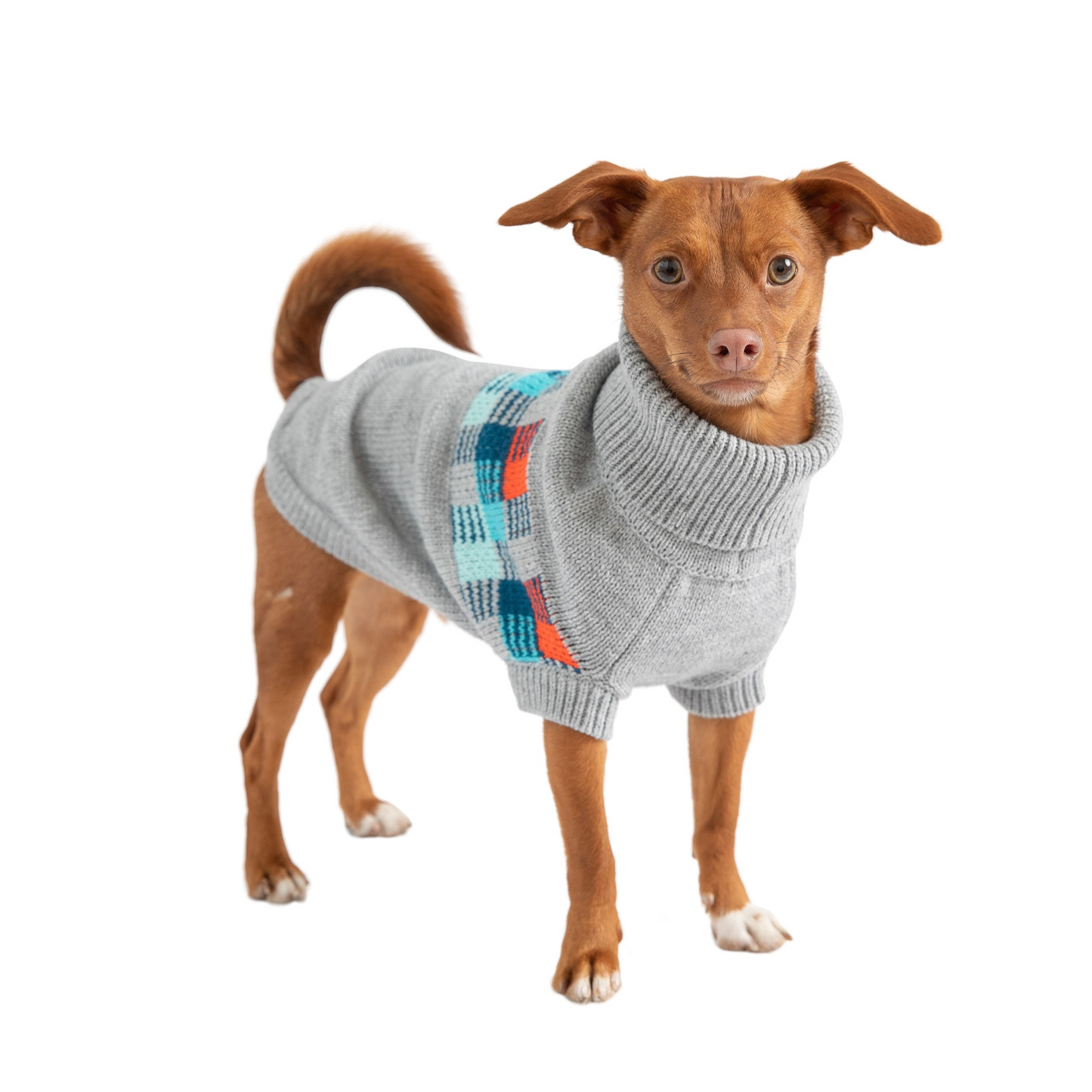 Suéter marinero de invierno: mantén a tu cachorro cómodo en estilo retro