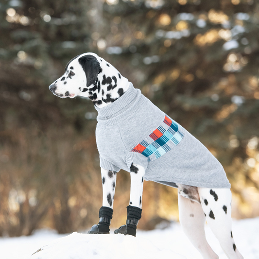 Winter Sailor Dog Sweater Grey Mix | GF Pet