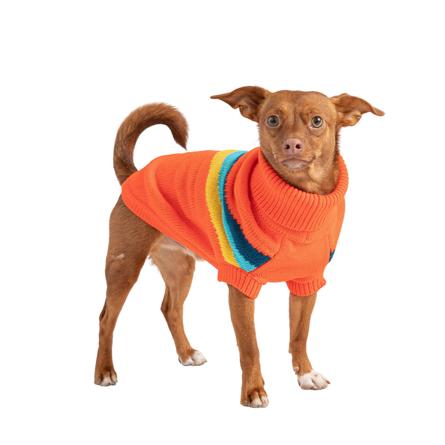 Mantente cómodo con estilo con el suéter Alpine en naranja
