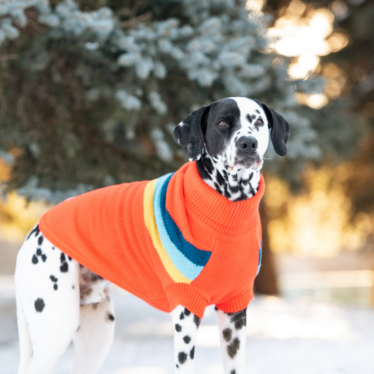 Alpine Sweater in Orange | GF Pet