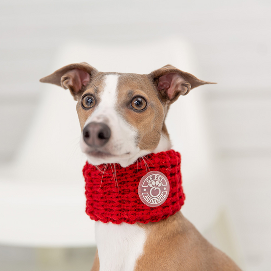 Chalet Dog Tube Scarf - Red | GF Pet