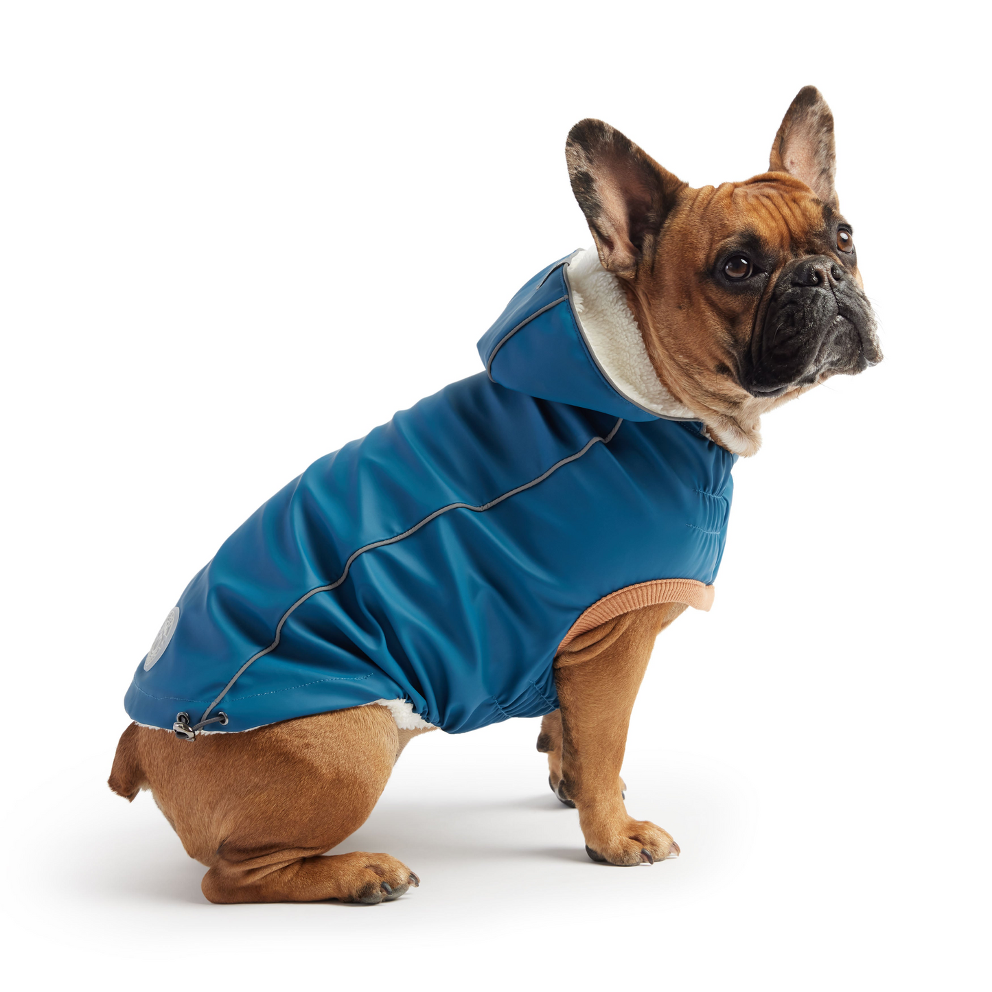 Chubasquero aislado para mascotas GF - Azul oscuro