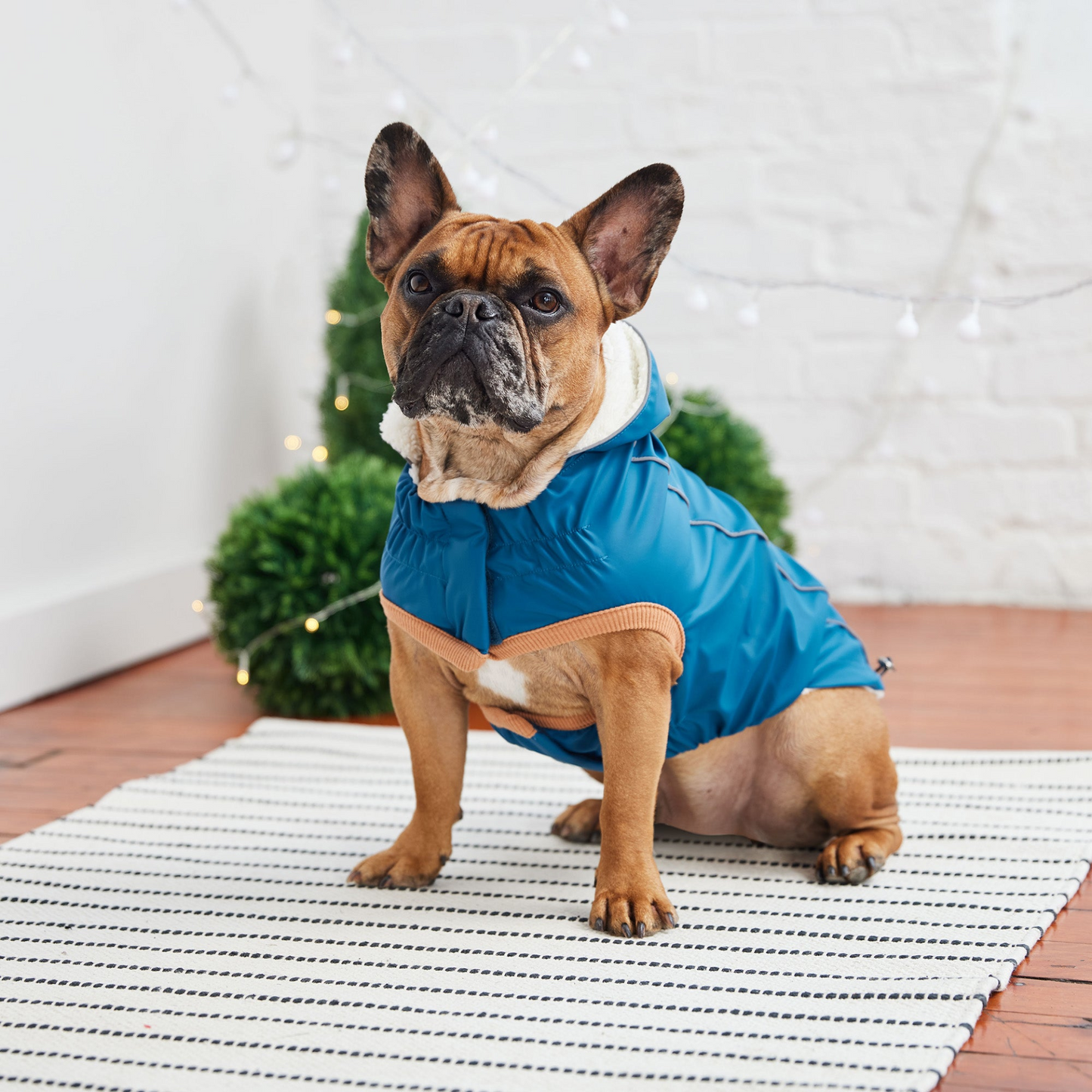 Chubasquero aislado para mascotas GF - Azul oscuro