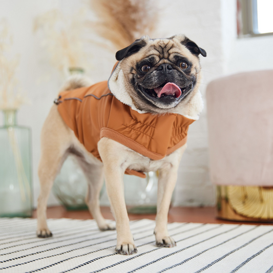 Insulated Dog Raincoat - Hazel | GF Pet