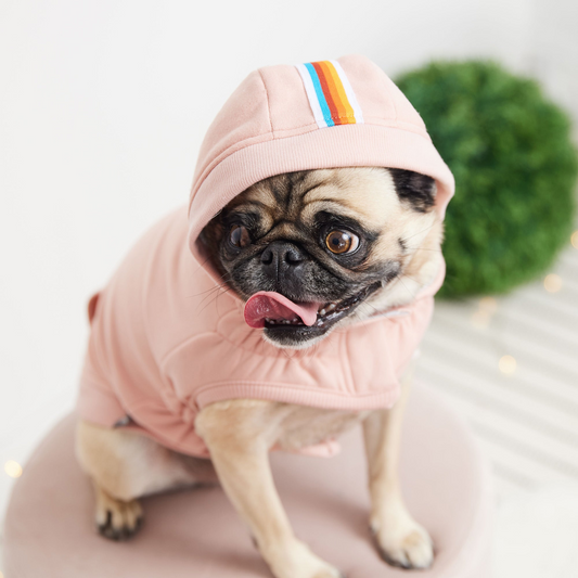 Urban Dog Hoodie - Pink | GF Pet