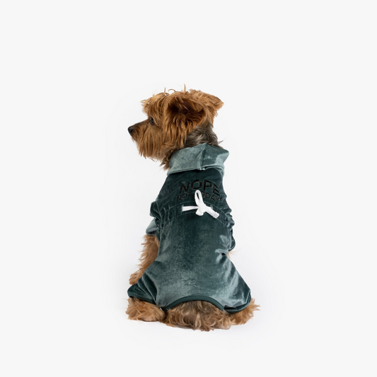 Coco Velour Pjs - Teal | Silver Paw