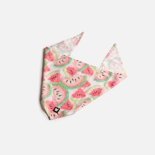 Dog Bandana - Watermelon | Silver Paw