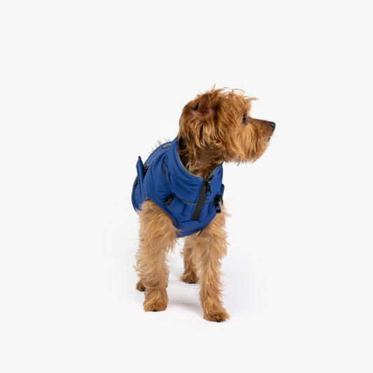 Monty Dog Water Resistant Jacket | Silver Paw