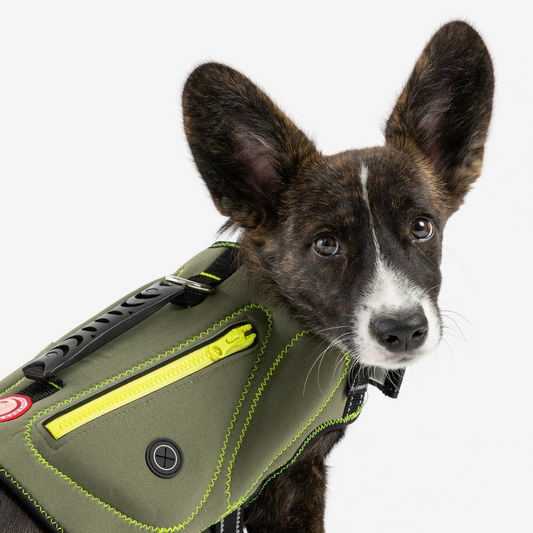 Neoprene Dog Life Jacket-Khaki | Silver Paw