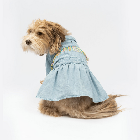 Ocean Denim Dog Dress | Silver Paw