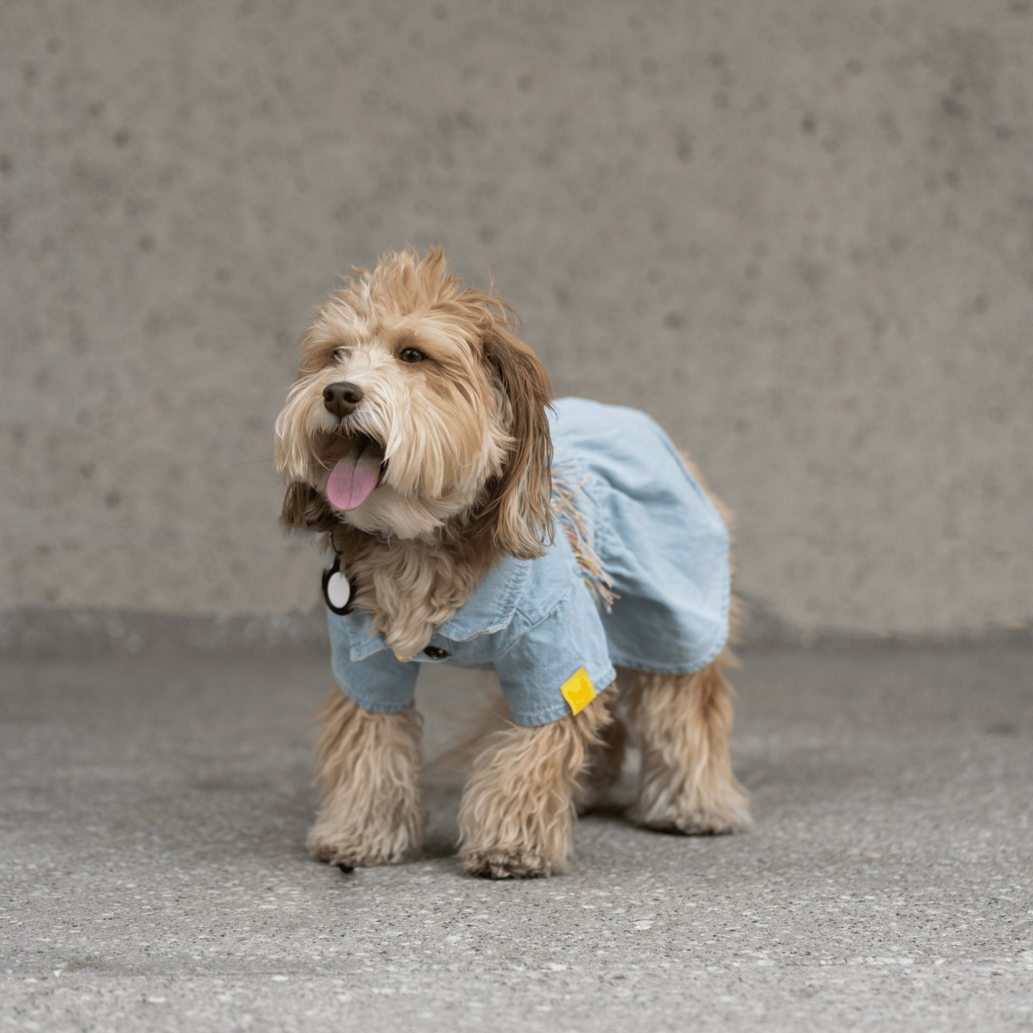 Vestido para perros Ocean Denim