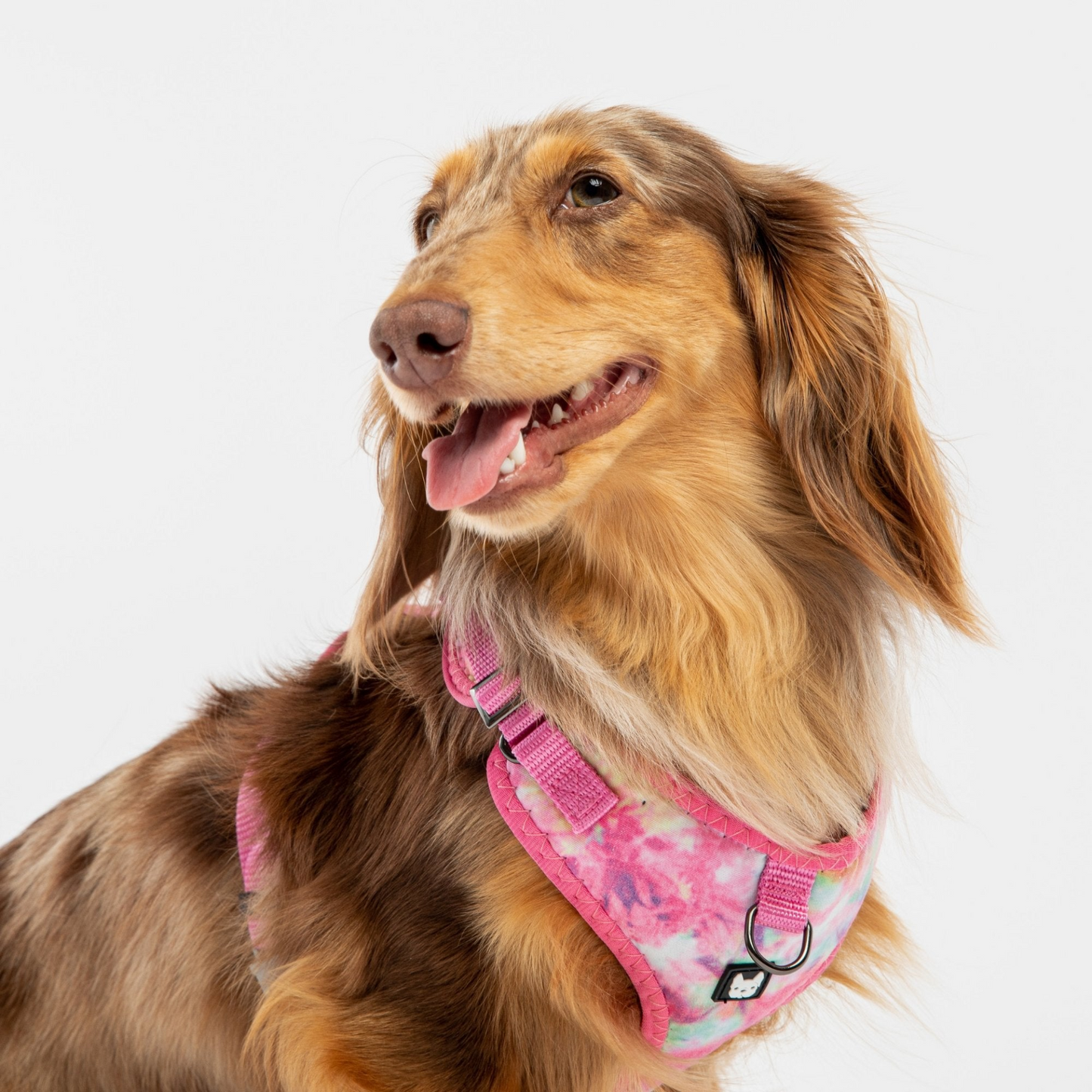 Arnés para perros de popelina - Tie Dye rosa