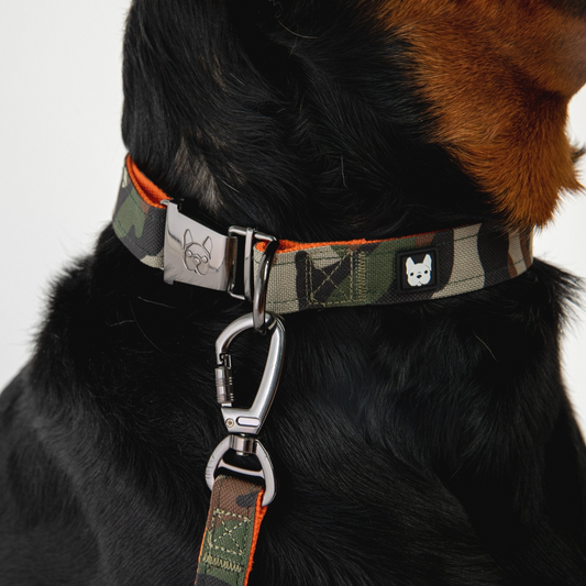 Poplin Dog Collar - Camo | Silver Paw
