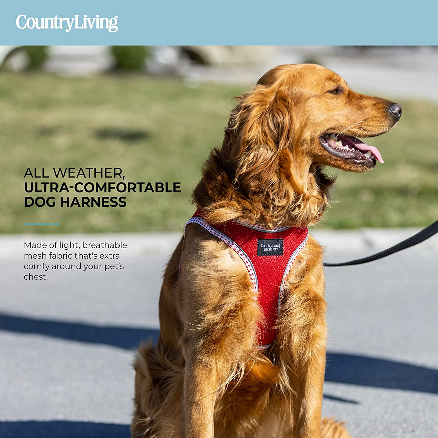 Arnés para perros con paso - Rojo