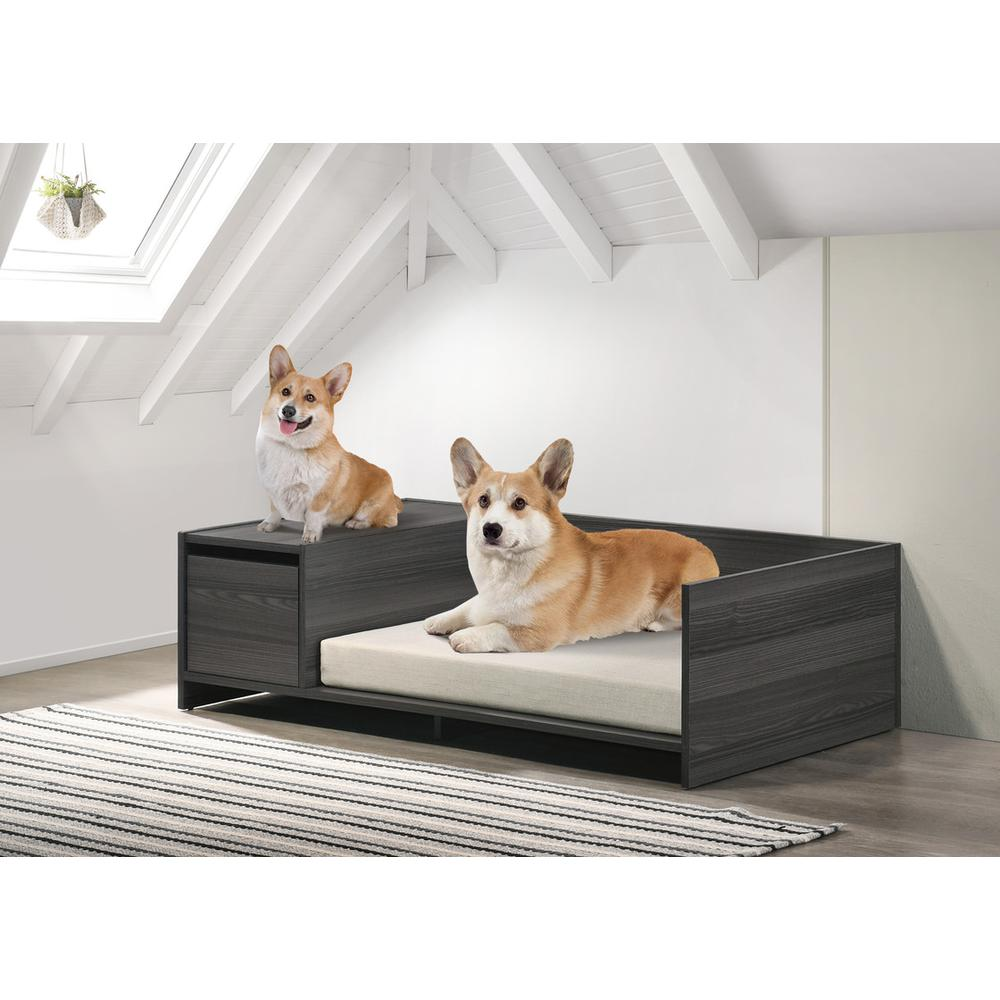 Cama para mascotas cómoda y moderna Esme gris ceniza de 47 pulgadas de ancho con cojín y compartimento de almacenamiento lateral