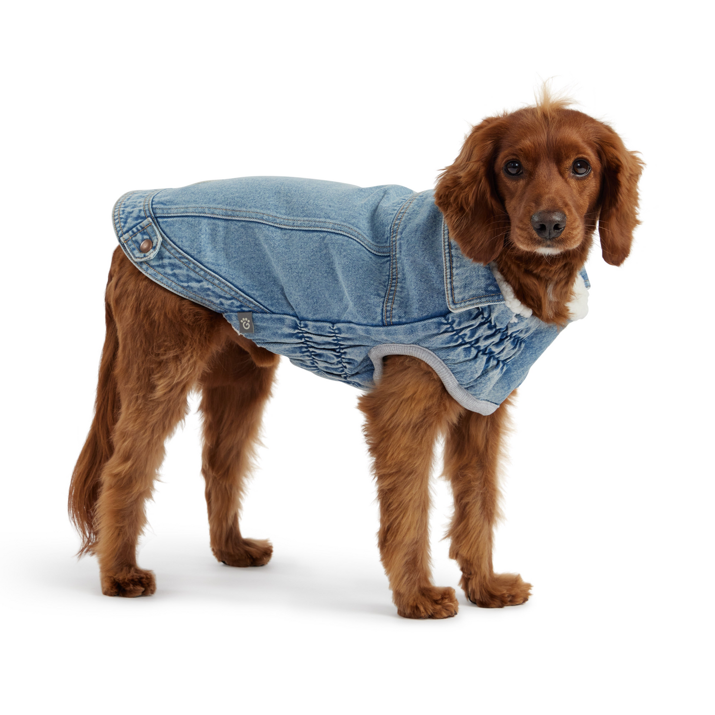 Chaqueta vaquera GF Pet - Lavado claro