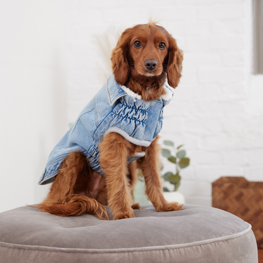 Dog Denim Jacket - Light Wash | GF Pet