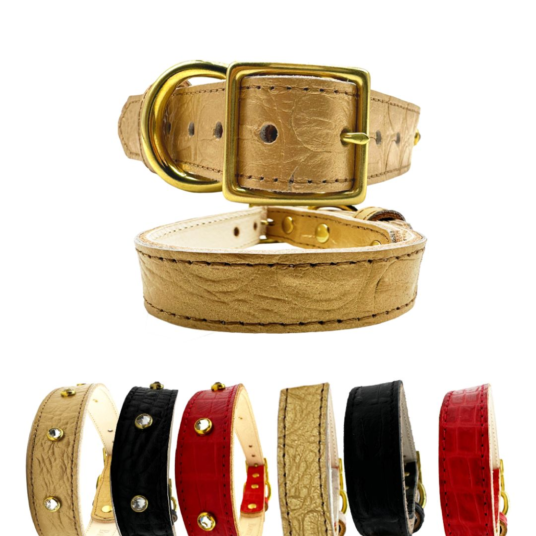 Bonne et Filou Collar para Perros de Piel de Cocodrilo