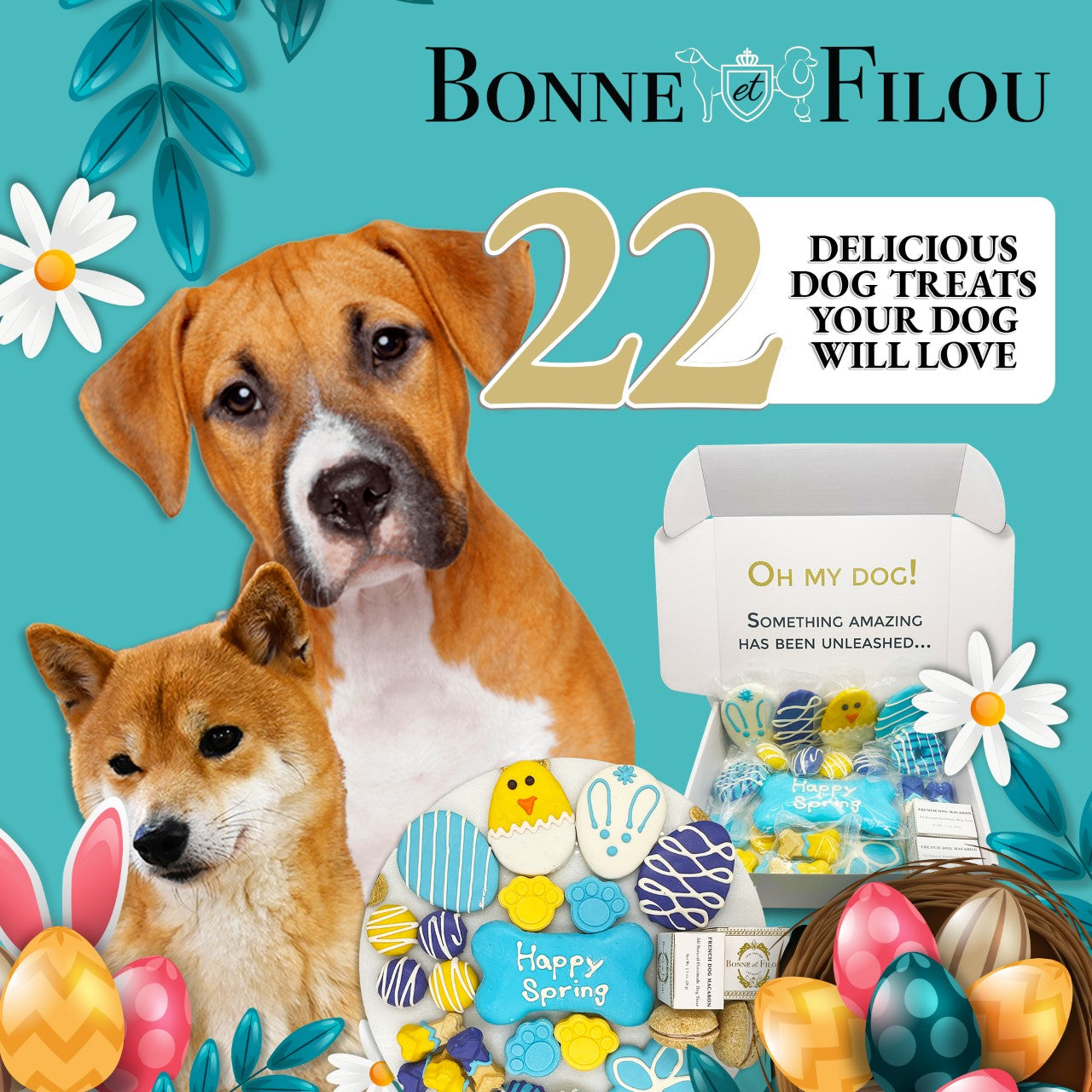 Caja de regalo de golosinas para perros con temática primaveral de Bonne et Filou