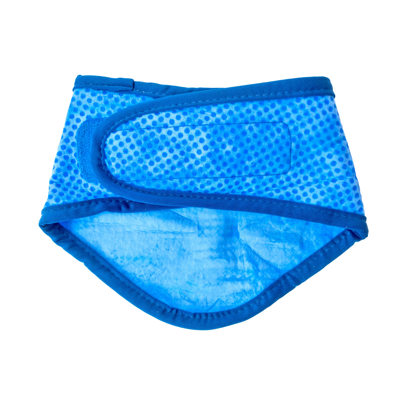 GF Pet ICE BAND - Bandana refrescante para perros - Azul