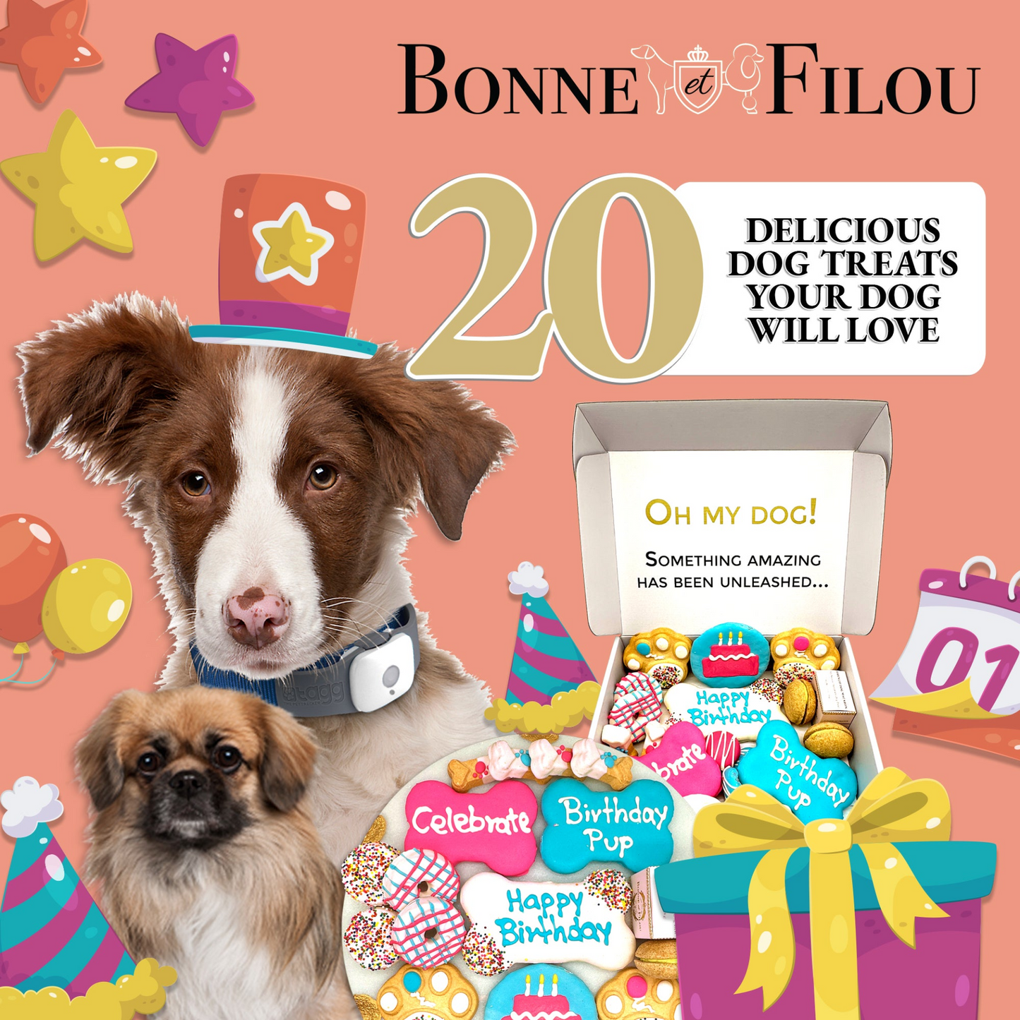 Caja de regalo de golosinas para perros Happy Birthday de Bonne et Filou