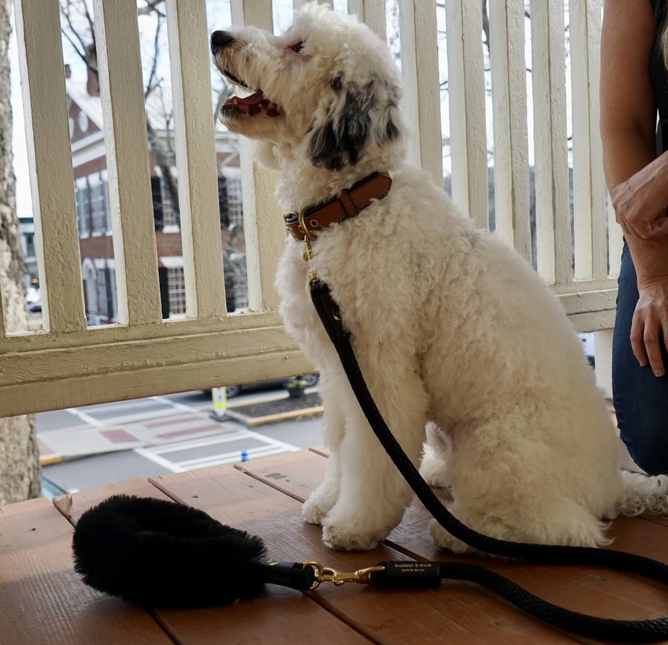 Paquete de agarre de piel de oveja + correa de cuerda para perros