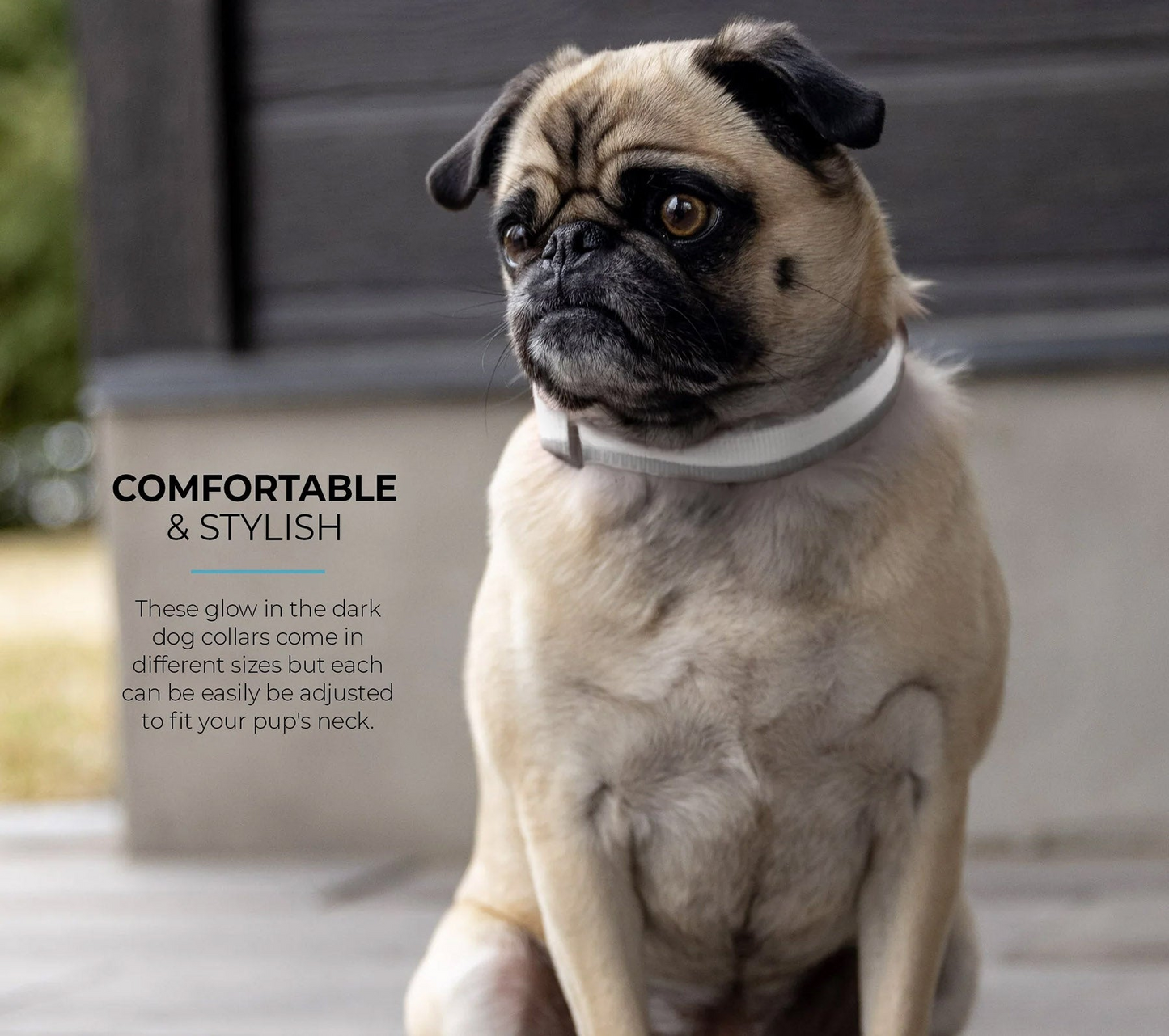 Collar para perro LED - Gris