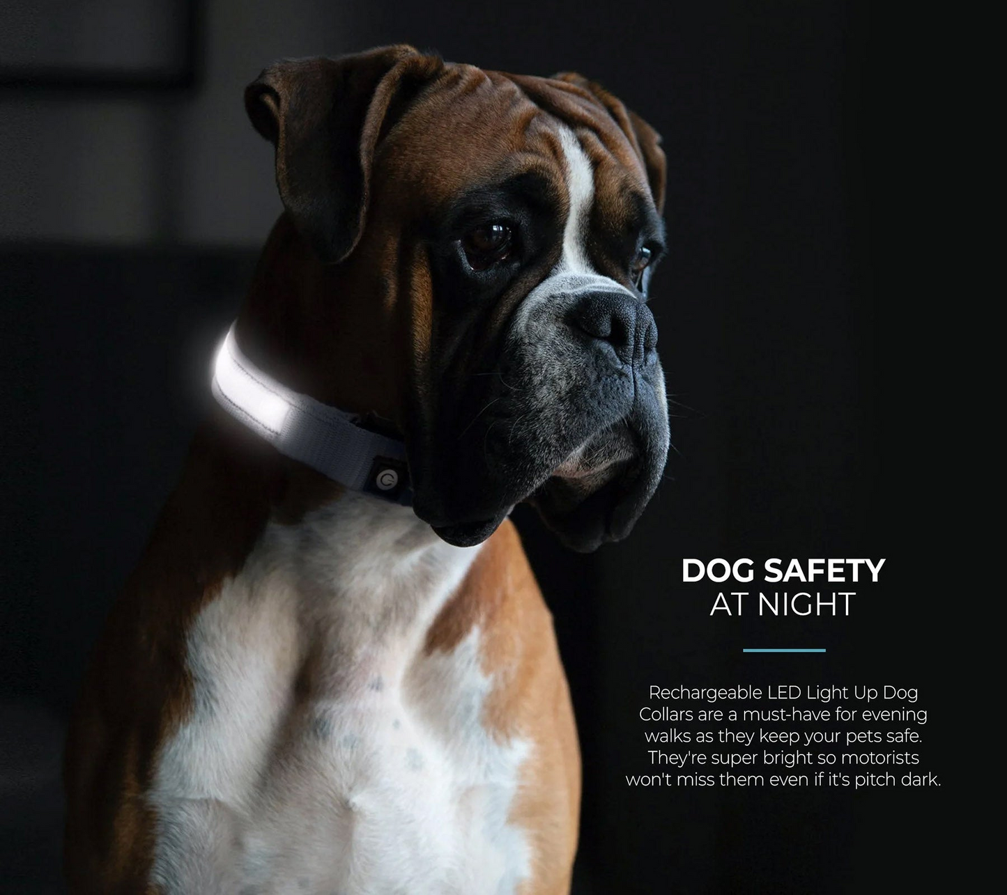 Collar para perro LED - Gris