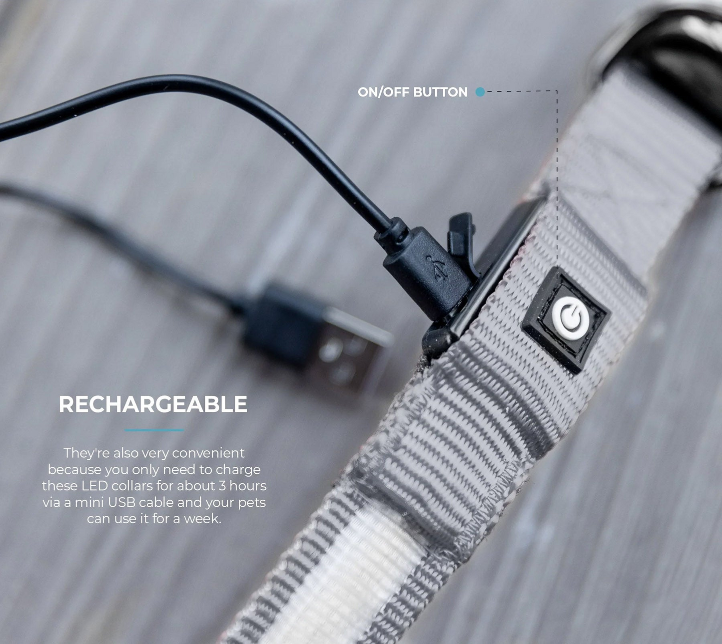 Collar para perro LED - Gris