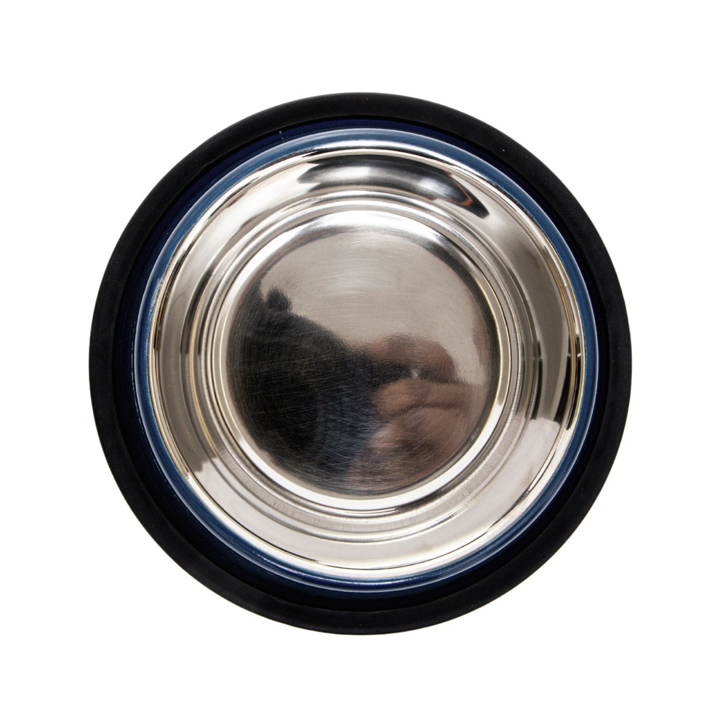 Cuenco para perros no tóxico de acero inoxidable - Poseidon Blue
