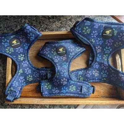 Arnés Finnigan's Paws Up: arnés para mascotas elegante y cómodo