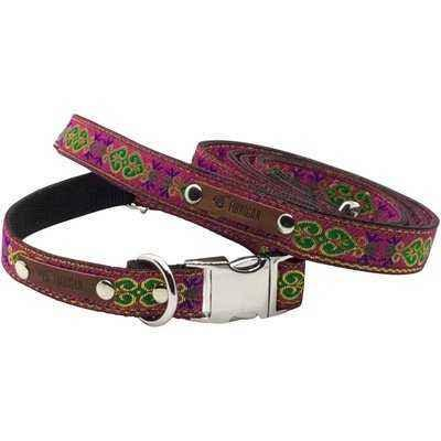 Collar de perro de diseño duradero No.13m