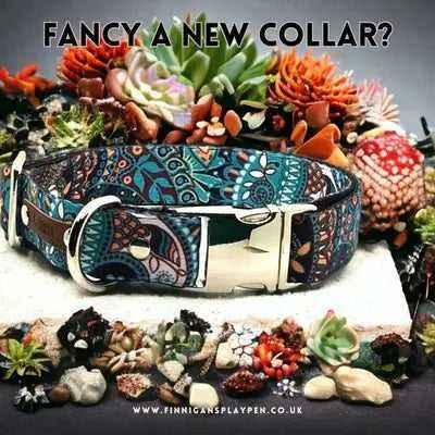 Collar para perro de diseño duradero n.º 5l