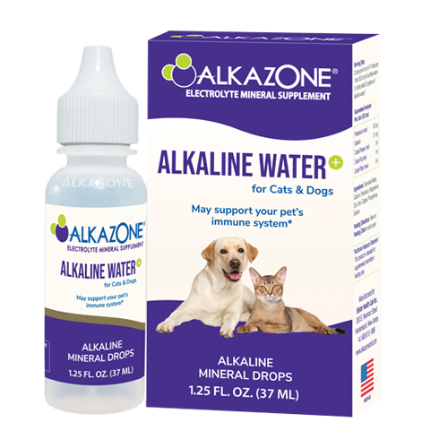 Agua alcalina para mascotas Alkazone®: suplemento dietético esencial para perros