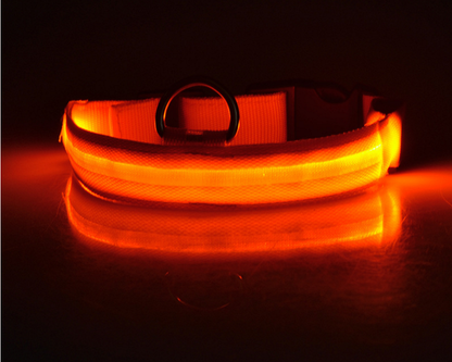 Nylon LED Pet Dog Luminous Collar: Night Safety Flashing Glow in Dark Dog Cat Leash