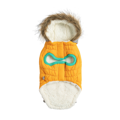 Winter Sailor Dog Parka - Yellow