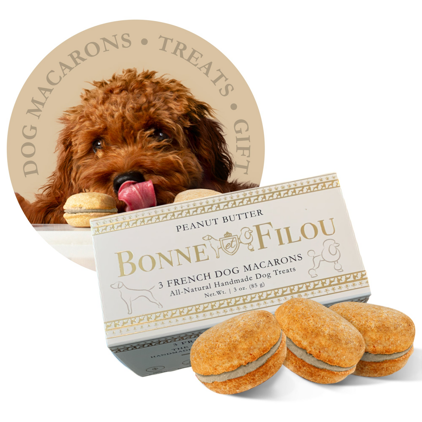 Bonne et Filou Dog Macarons (Box of 3)