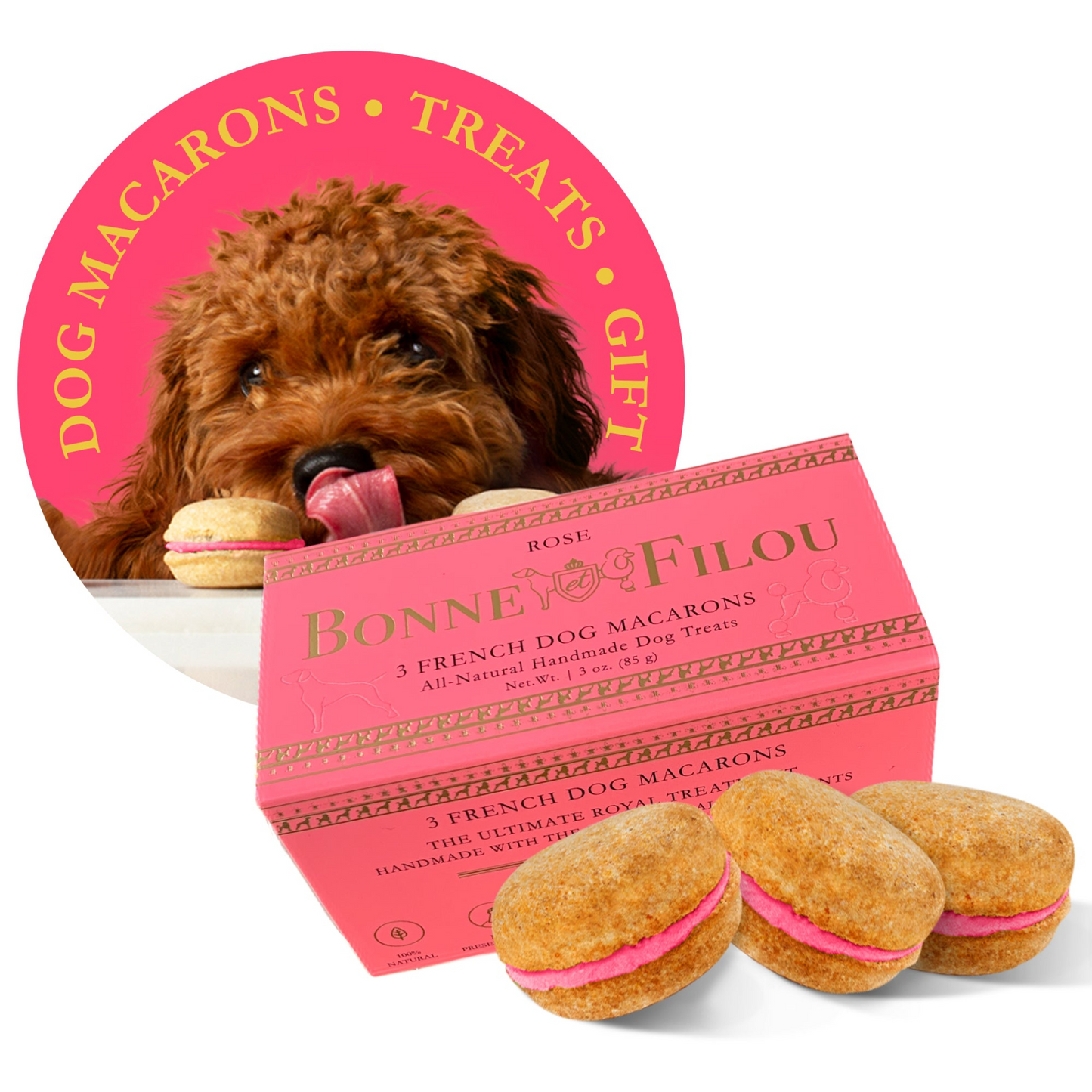 Bonne et Filou Dog Macarons (Box of 3)