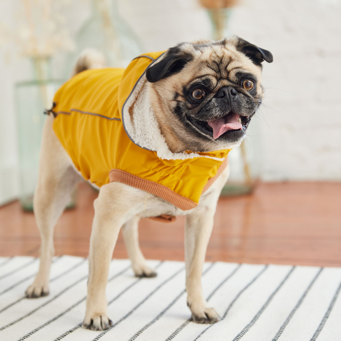 Insulated Dog Raincoat - Yellow