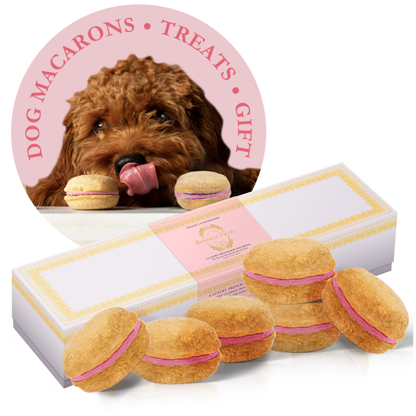 Bonne et Filou Dog Macarons (Box of 6)