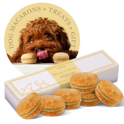 Bonne et Filou Dog Macarons (Box of 6)