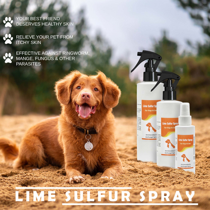 Healthy Paw Life - Spray de azufre y lima - Cuidado de mascotas para piel seca y con picazón - Cuidado localizado y solución segura para perros, gatos, cachorros, gatitos y caballos