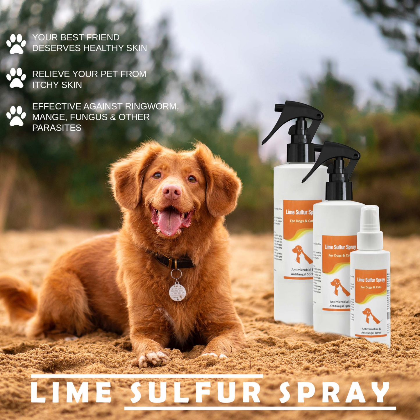 Lime Sulfur Pooch Shampoo and Spray (8 oz each)